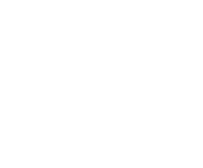 Evolution games at Spin Royale Casino